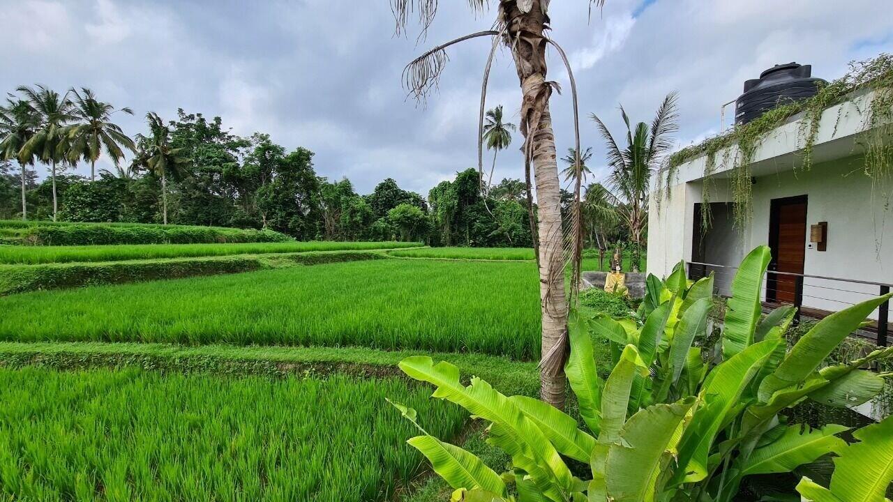 Ayurvedagram Bali Hotel Ubud  Ngoại thất bức ảnh