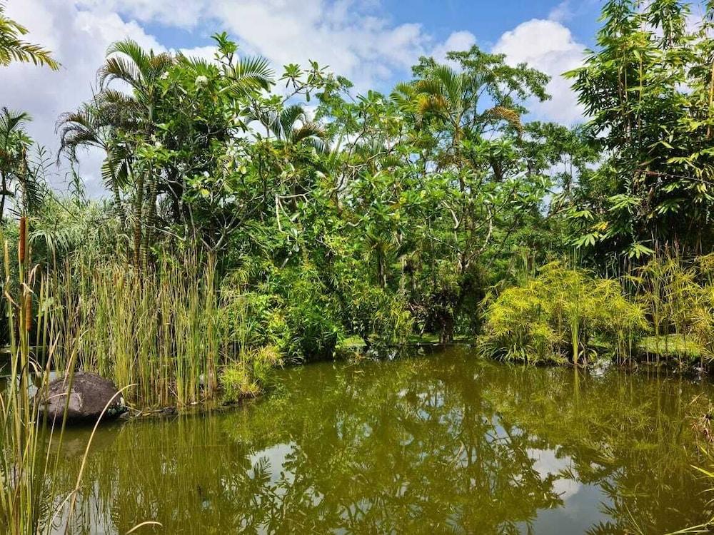 Ayurvedagram Bali Hotel Ubud  Ngoại thất bức ảnh
