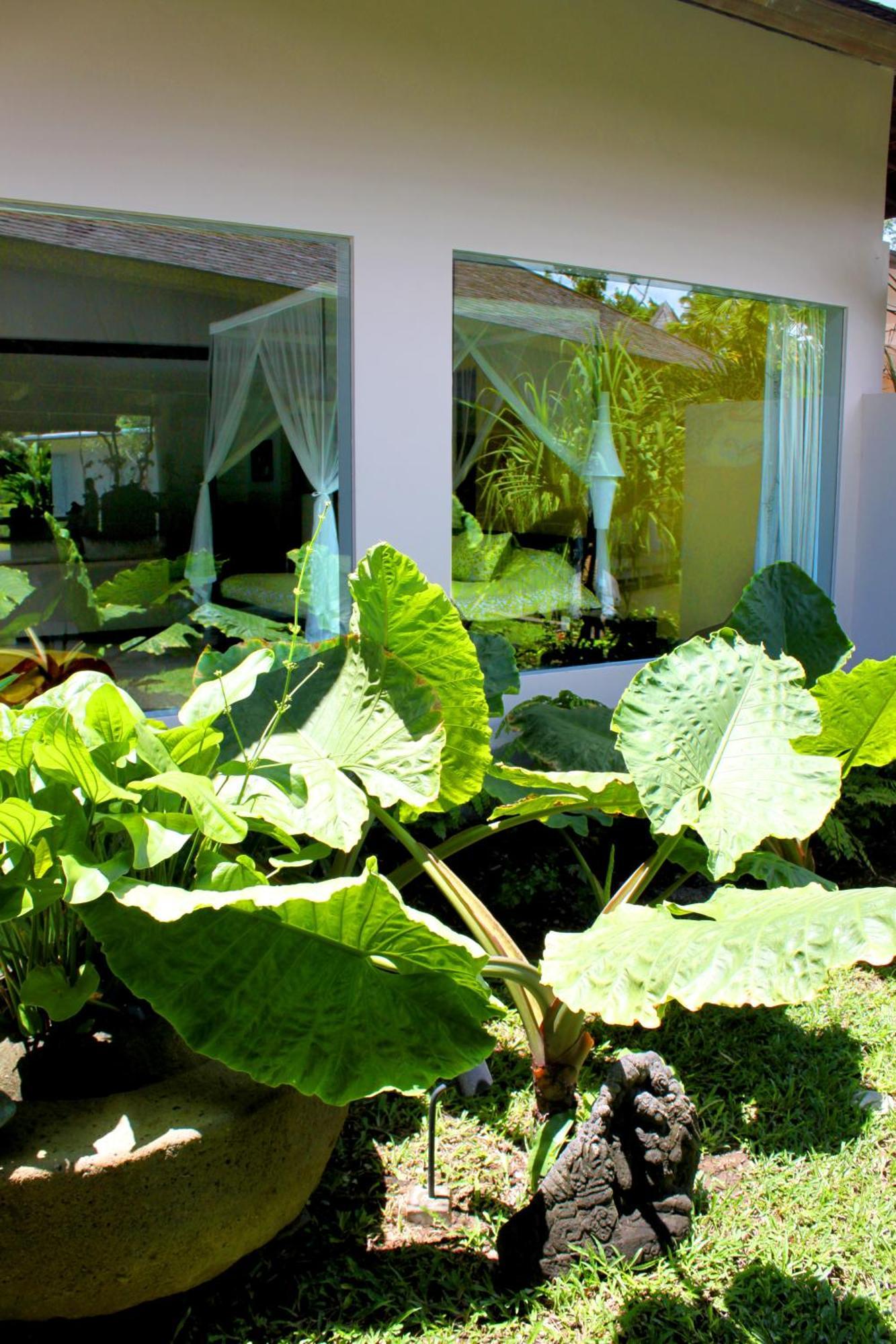Ayurvedagram Bali Hotel Ubud  Phòng bức ảnh